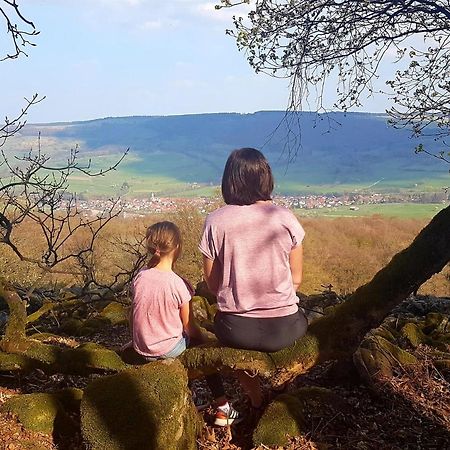 Ferienwohnung Pusteblume Ehrenberg  Zewnętrze zdjęcie