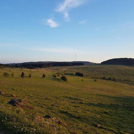 Ferienwohnung Pusteblume Ehrenberg  Zewnętrze zdjęcie