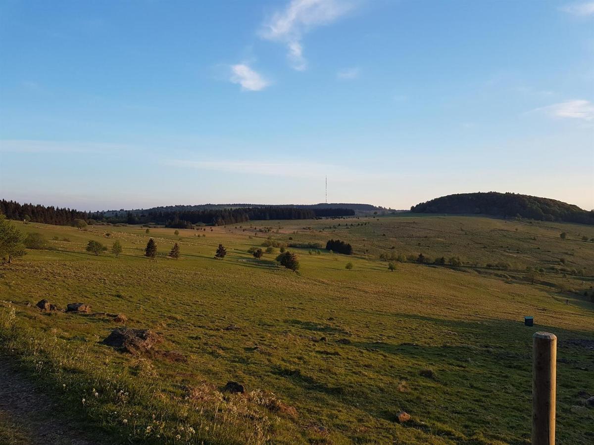 Ferienwohnung Pusteblume Ehrenberg  Zewnętrze zdjęcie